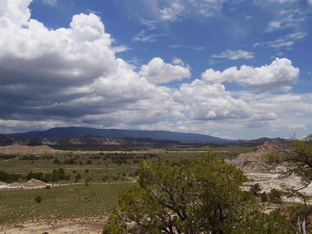 Hwy 595, Regina Off Lindrith road, Lindrith, NM, 87046 MLS 201400594