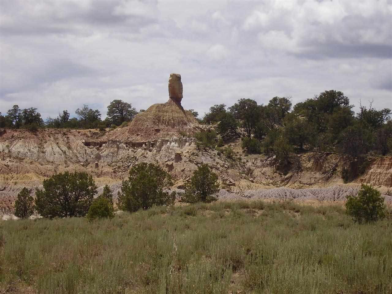 Hwy 595, Regina Off Lindrith road, Lindrith, NM, 87046 MLS 201400594