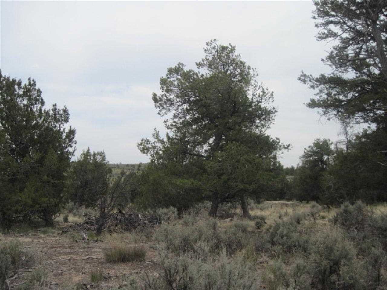 Abiquiu Land Northern New Mexico Real Estate Ann McDaniel 505 6854646
