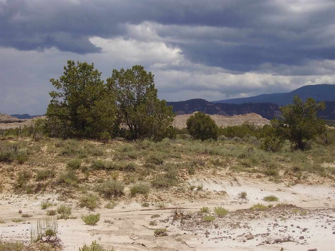 Abiquiu Land Northern New Mexico Real Estate Ann McDaniel 505 6854646