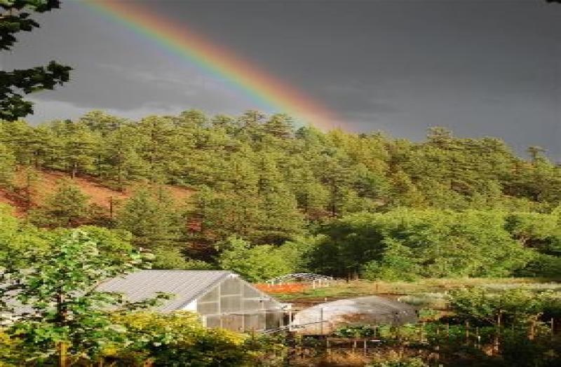 Abiquiu Land Northern New Mexico Real Estate Ann McDaniel 505 6854646