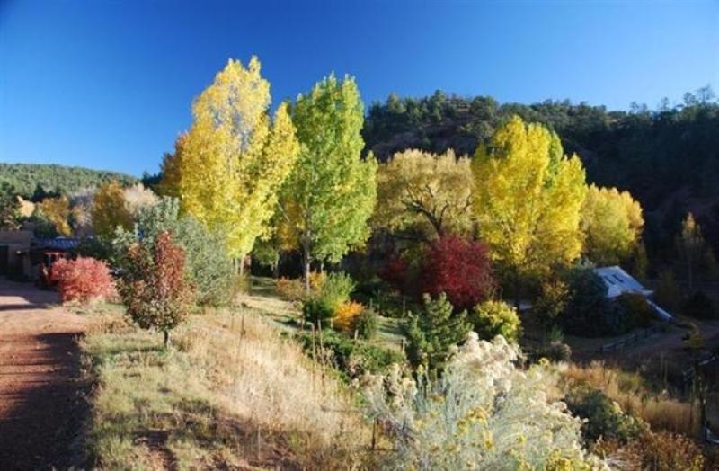 Abiquiu Land Northern New Mexico Real Estate Ann McDaniel 505 6854646