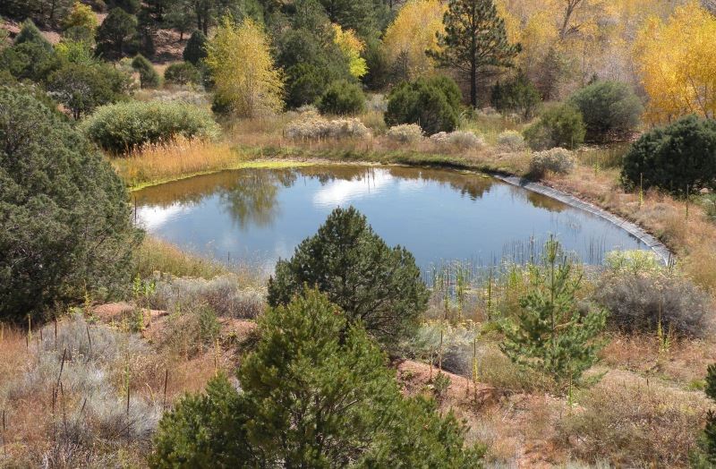 Abiquiu Land Northern New Mexico Real Estate Ann McDaniel 505 6854646