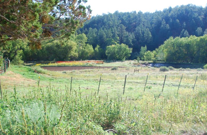 Abiquiu Land Northern New Mexico Real Estate Ann McDaniel 505 6854646