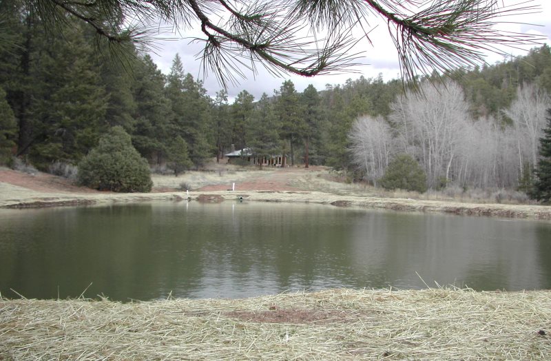 Abiquiu Land Northern New Mexico Real Estate Ann McDaniel 505 6854646