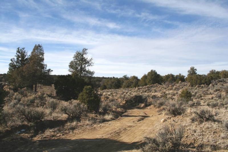 Abiquiu Land Northern New Mexico Real Estate Ann McDaniel 505 6854646