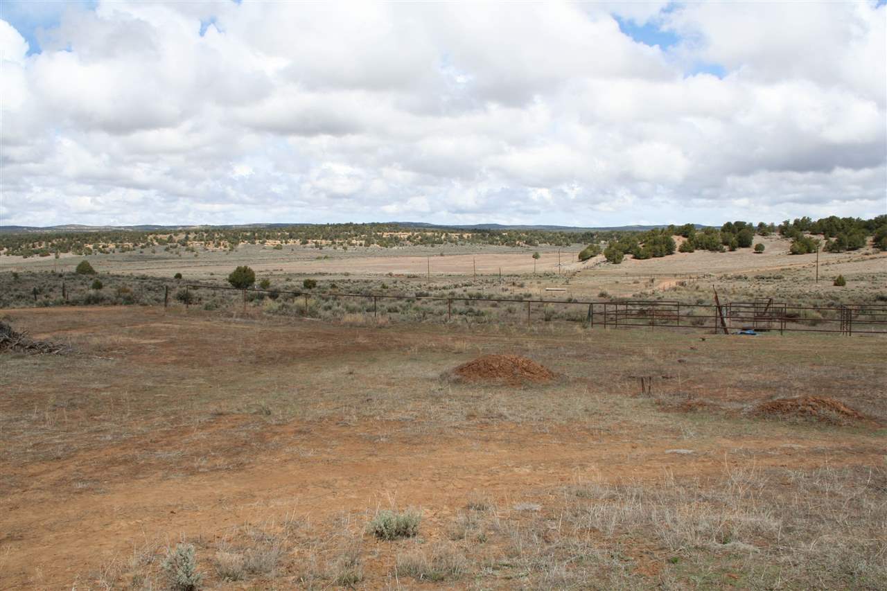 Abiquiu Land Northern New Mexico Real Estate Ann McDaniel 505 6854646