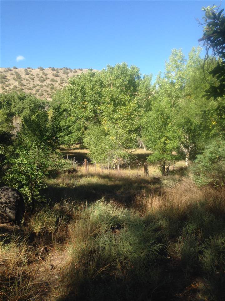 Abiquiu Land Northern New Mexico Real Estate Ann McDaniel 505 6854646