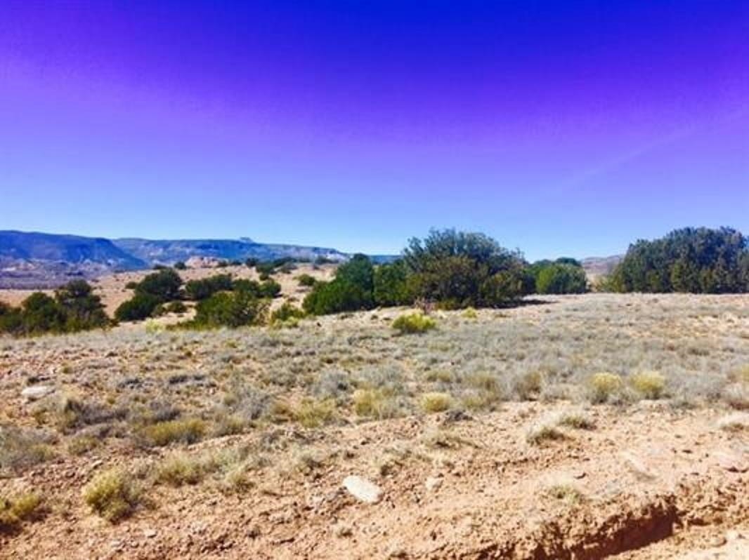 Abiquiu Land Northern New Mexico Real Estate Ann McDaniel 505 6854646