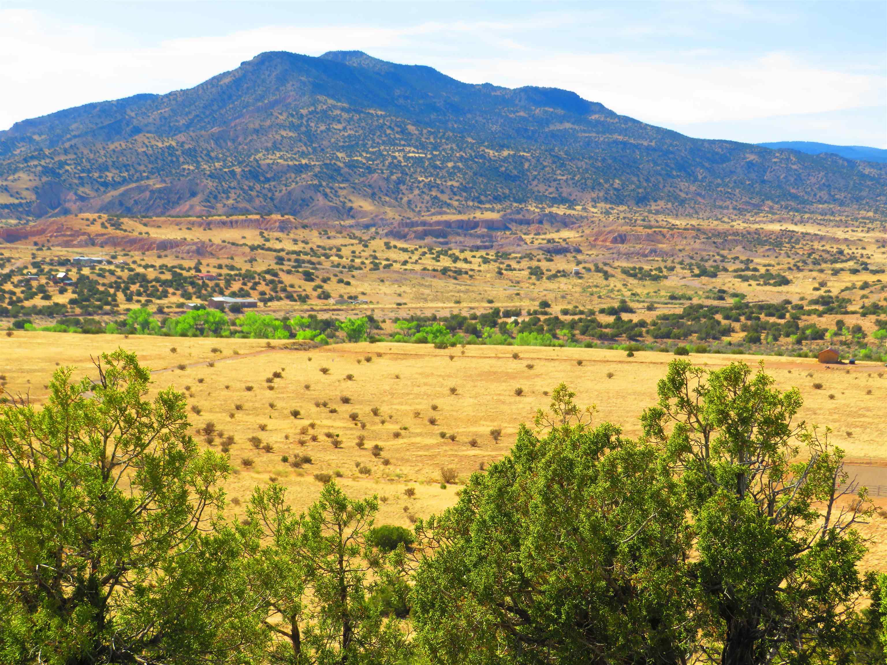 Abiquiu Land Northern New Mexico Real Estate Ann McDaniel 505 6854646