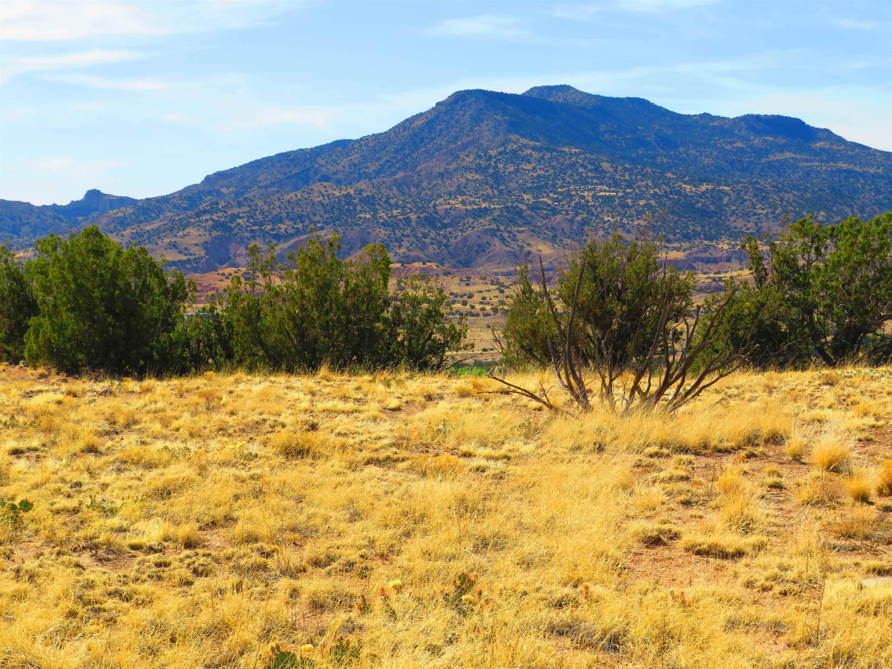 Abiquiu Land Northern New Mexico Real Estate Ann McDaniel 505 6854646