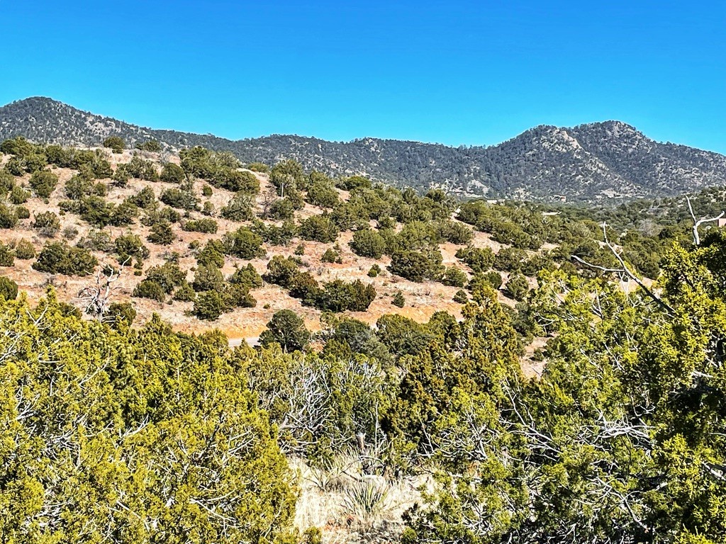 Abiquiu Land Northern New Mexico Real Estate Ann McDaniel 505 6854646