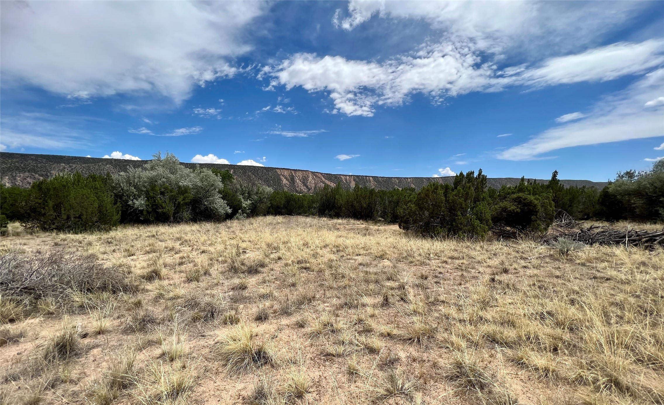 Abiquiu Land Northern New Mexico Real Estate Ann McDaniel 505 6854646