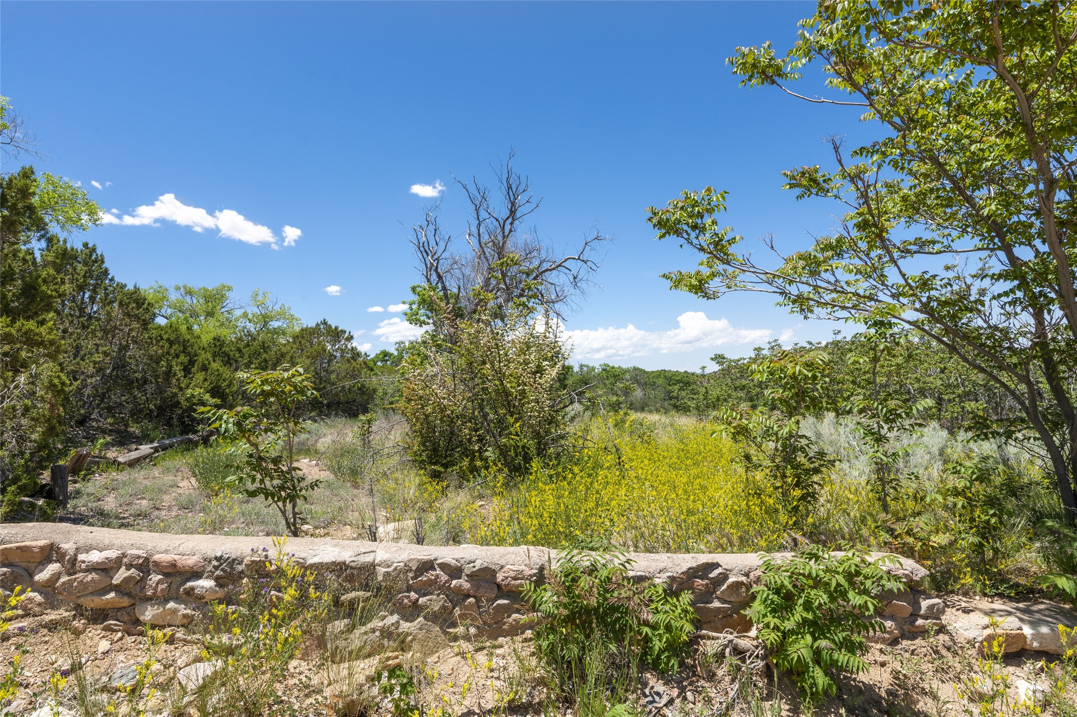 Abiquiu Land Northern New Mexico Real Estate Ann McDaniel 505 6854646