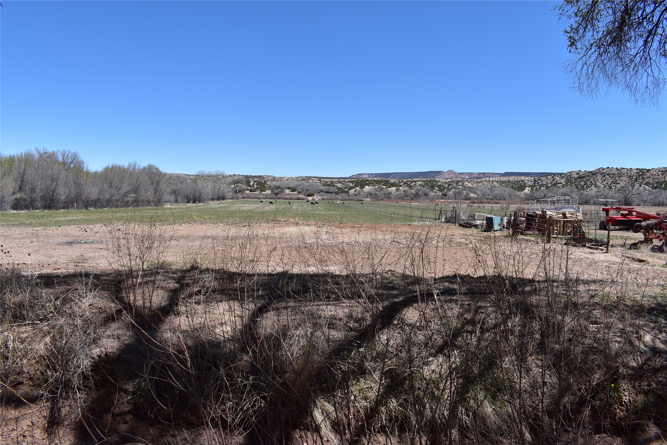 Abiquiu Land Northern New Mexico Real Estate – Ann McDaniel – 505 685-4646