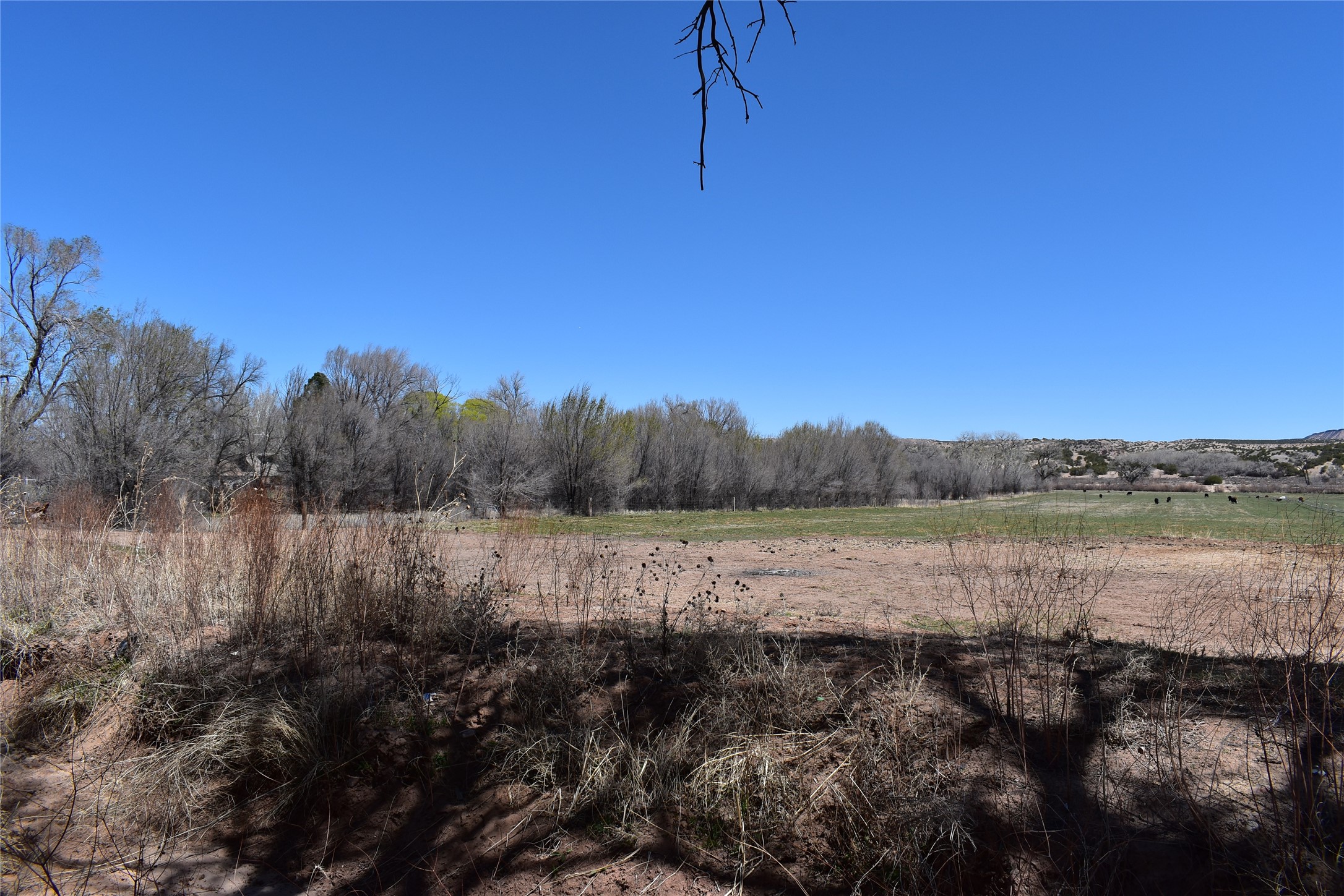 Abiquiu Land Northern New Mexico Real Estate – Ann McDaniel – 505 685-4646