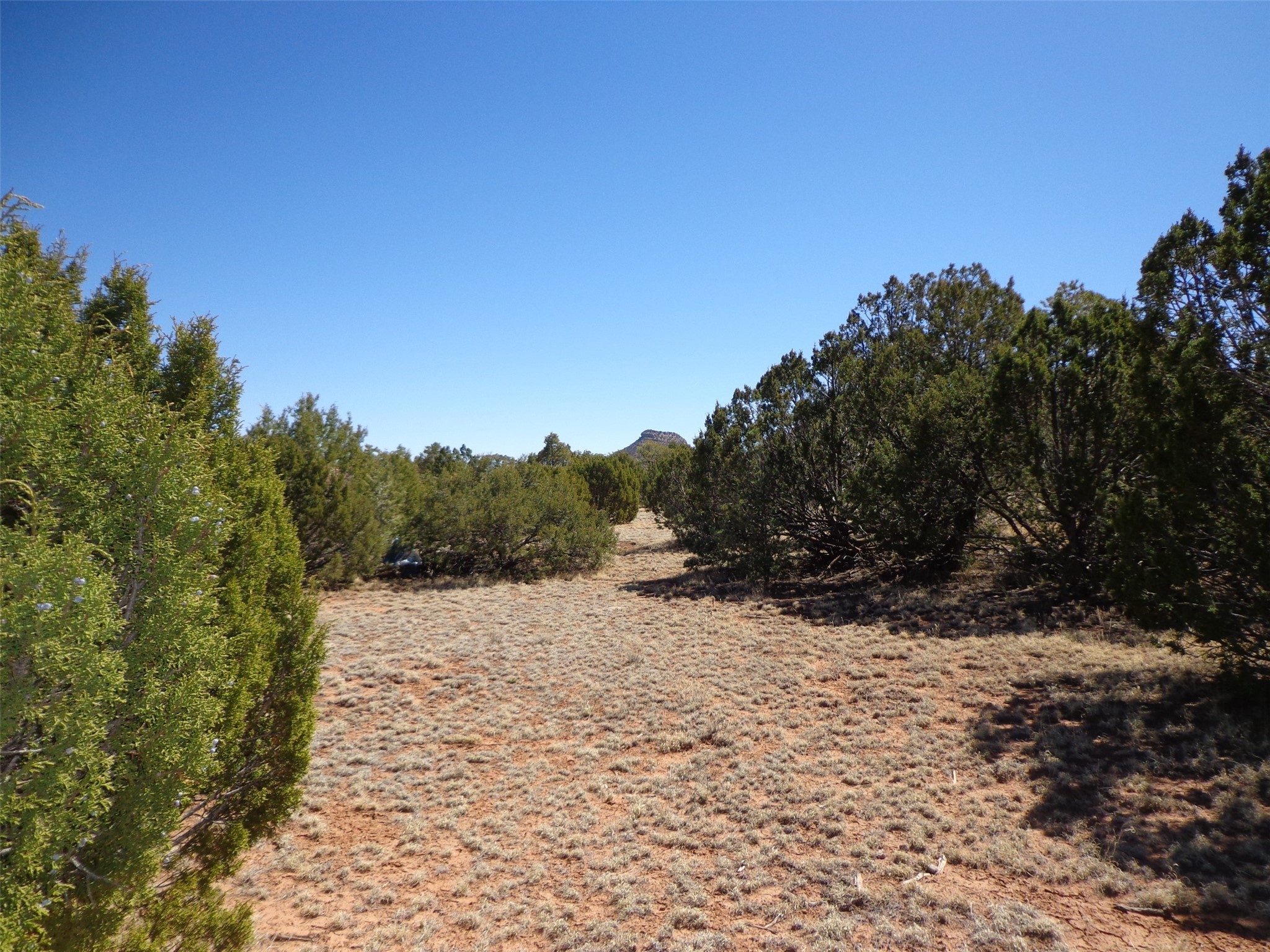 Abiquiu Land Northern New Mexico Real Estate – Ann McDaniel – 505 685-4646